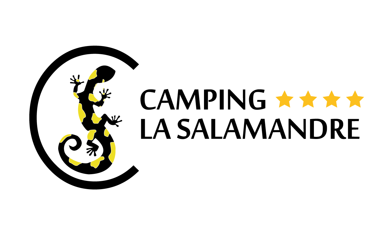 logo camping salamandre noir