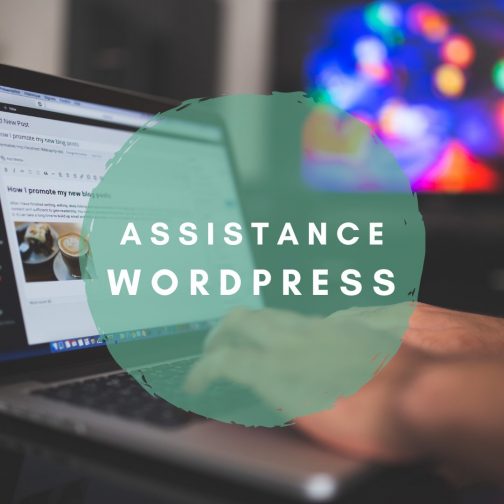 Assistance Wordpress
