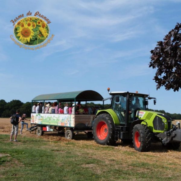 Camping Ferme pédagogique de Prunay